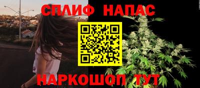 ГАЛЛЮЦИНОГЕННЫЕ ГРИБЫ Берёзовский