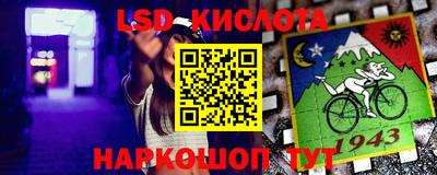 крисы Бийск