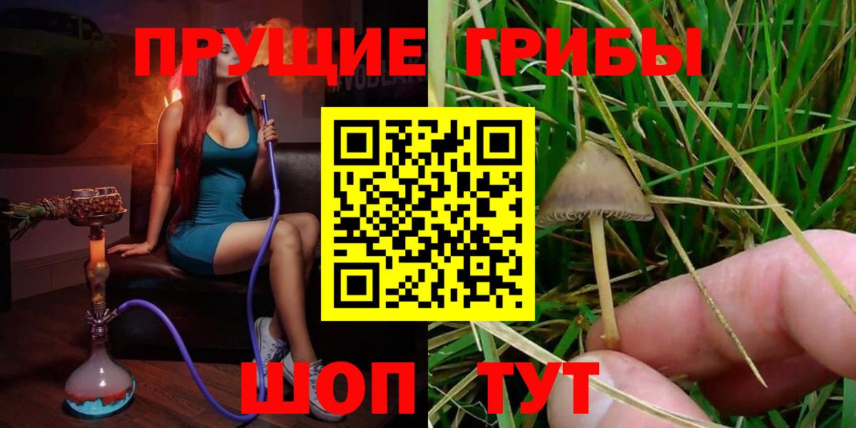 Галлюциногенные грибы мицелий  Вход с VPN  Псилоцибиновые грибы Magic Shrooms  Карпинск 