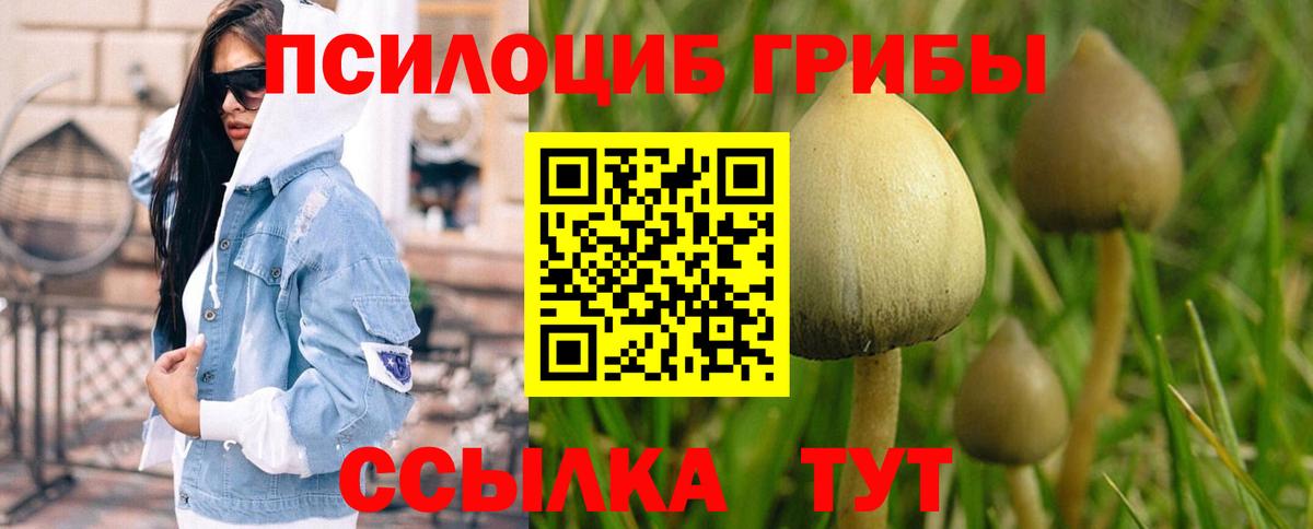 Галлюциногенные грибы MAGIC MUSHROOMS Карпинск